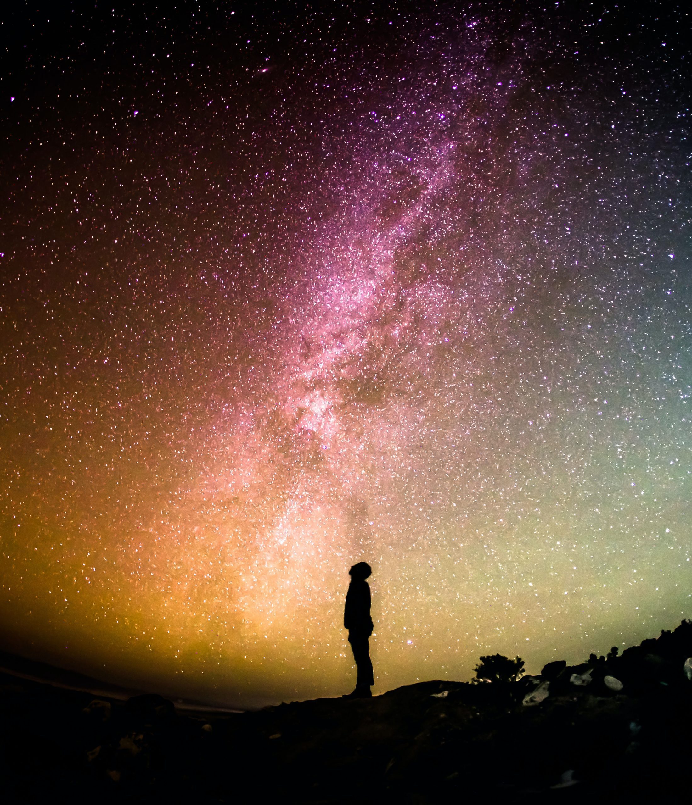 greg-rakozy-oMpAz-DN-9I-unsplash